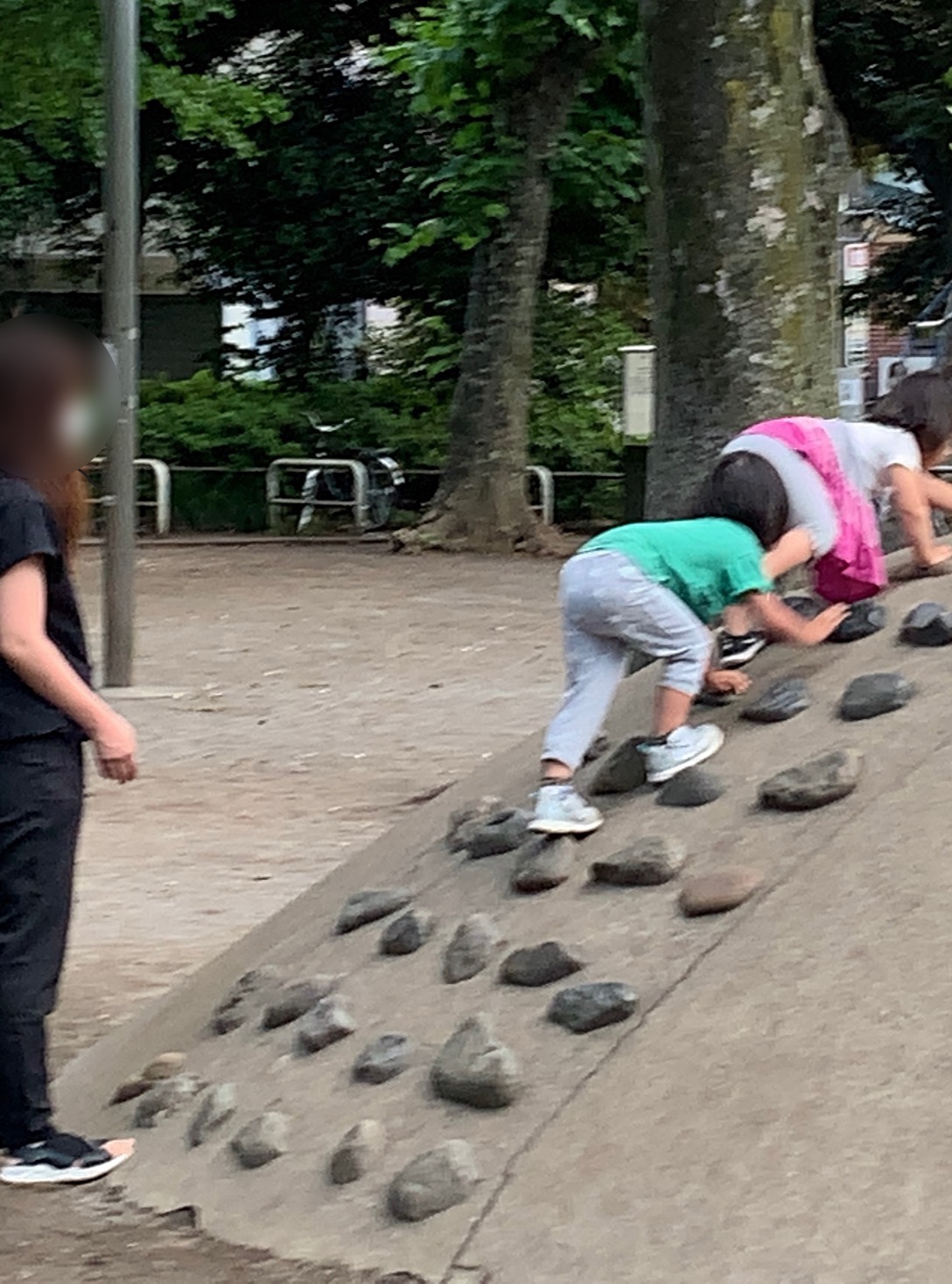 クリックで拡大(撮影:中野龍三)。