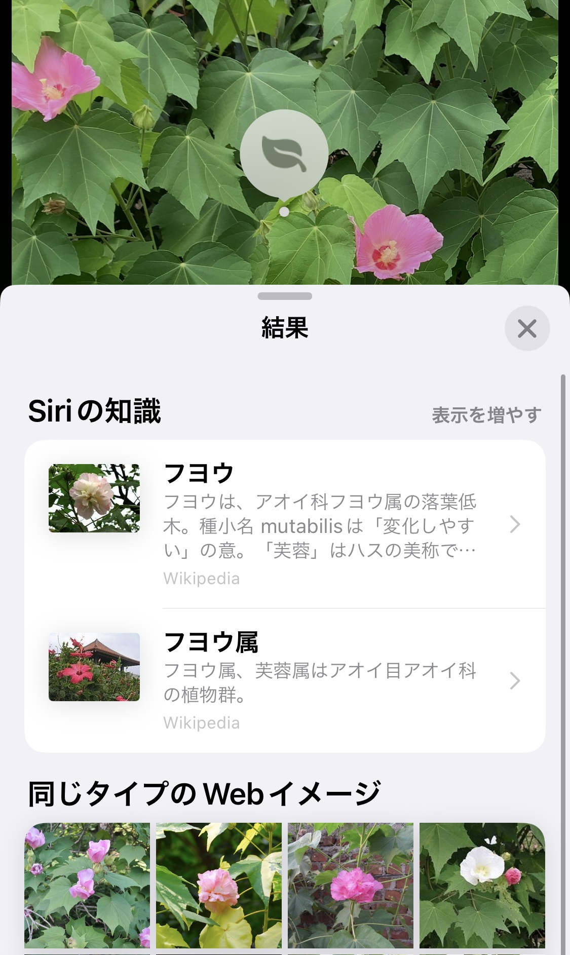 クリックで拡大(撮影:中野龍三)。