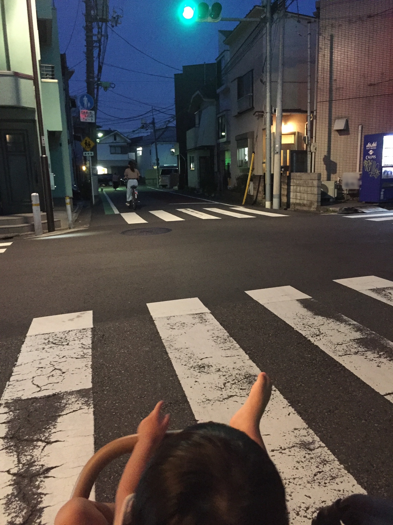 クリックで拡大(撮影:中野龍三)。
