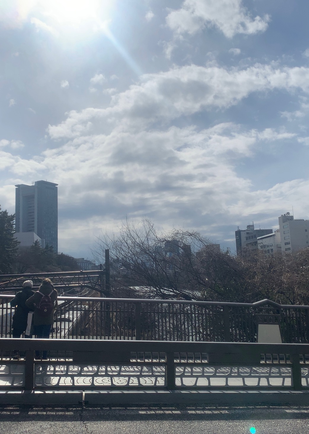 クリックで拡大(撮影:中野龍三)。