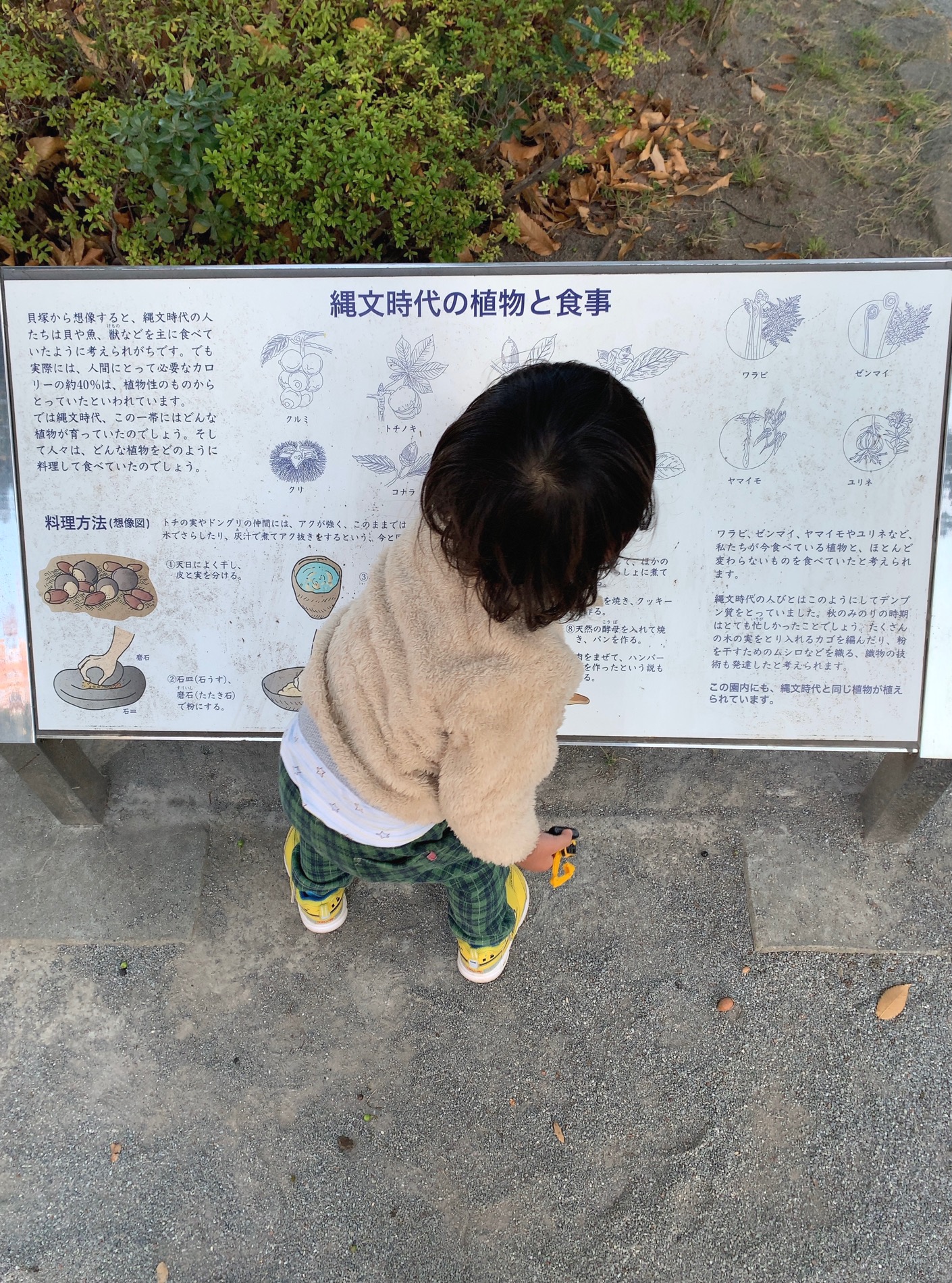 クリックで拡大(撮影:中野龍三)。