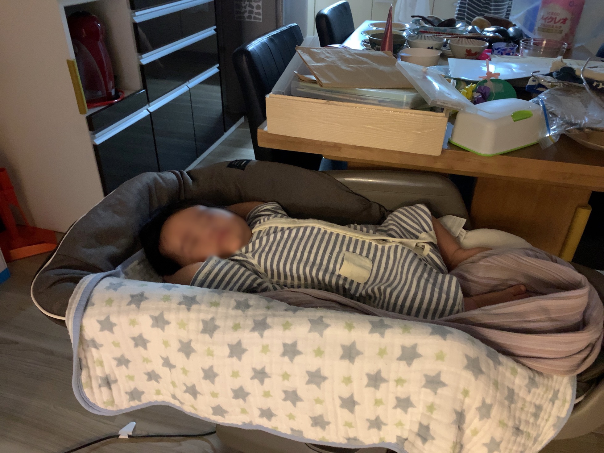 クリックで拡大(撮影:中野龍三)。