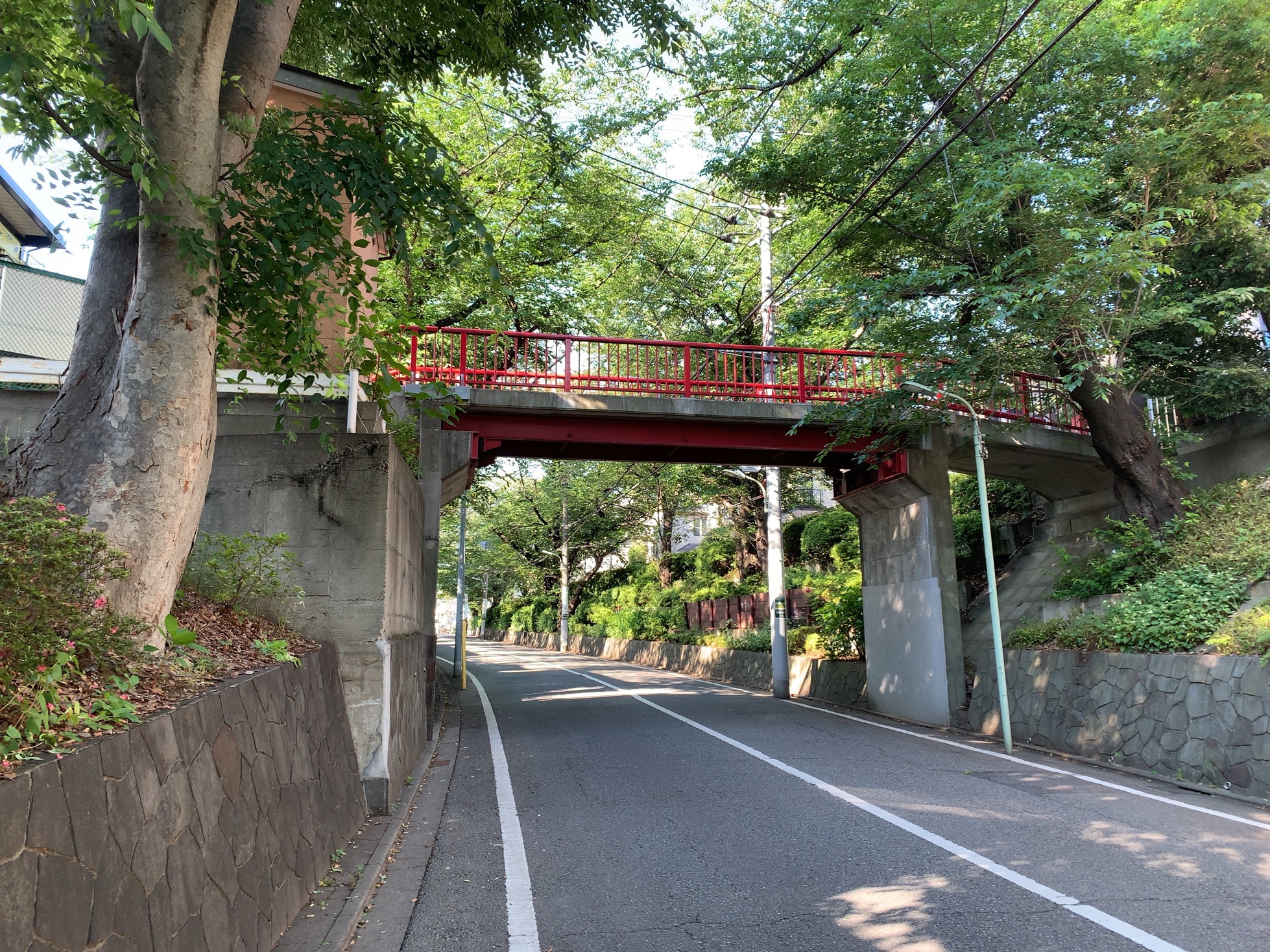 クリックで拡大(撮影:中野龍三)。
