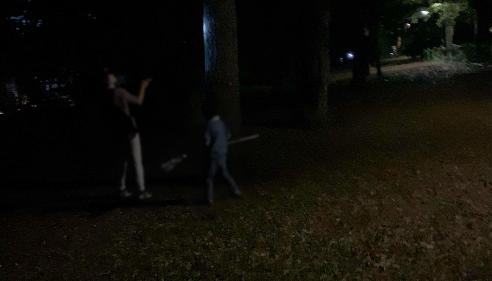 クリックで拡大(撮影:中野龍三)。