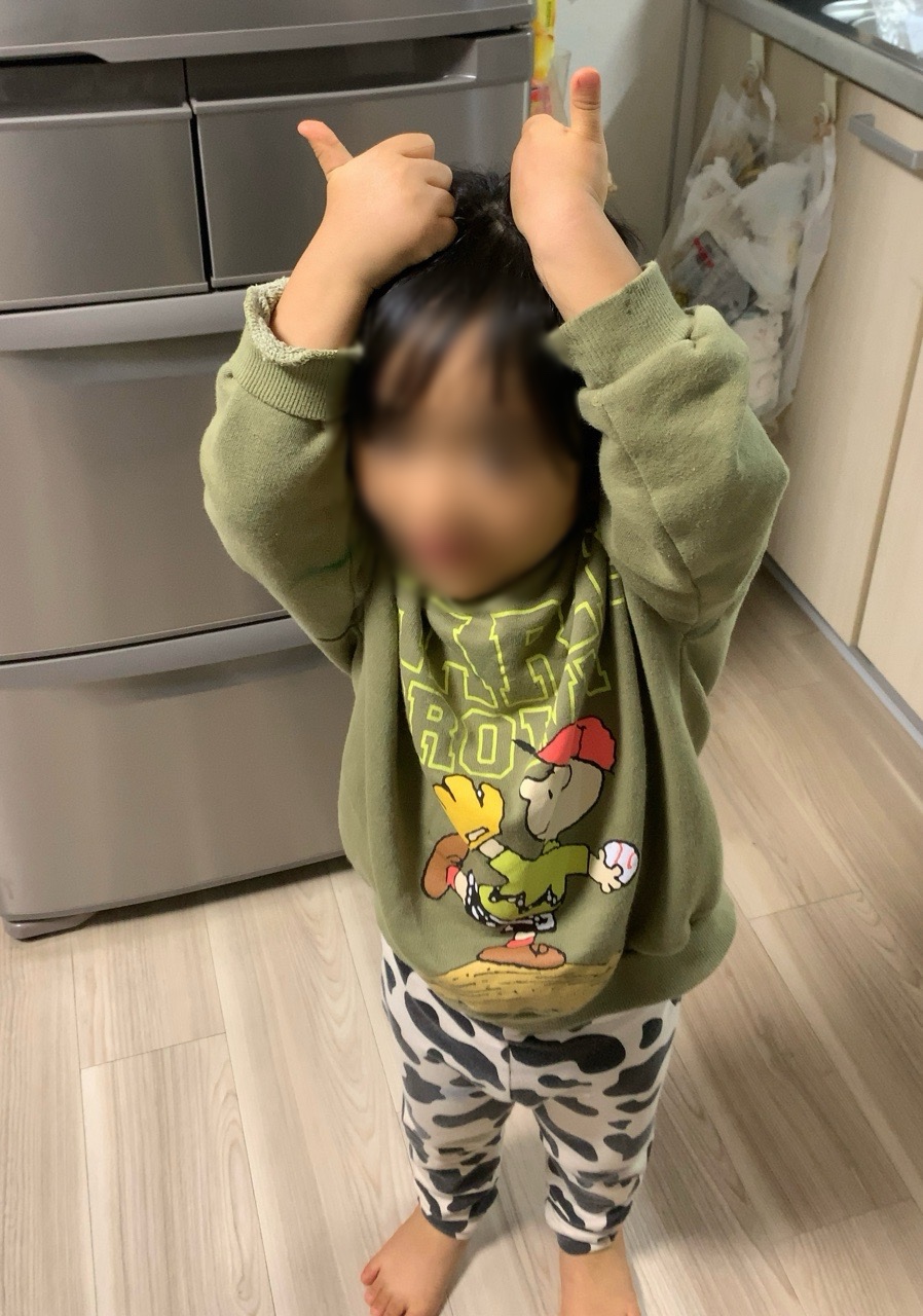 クリックで拡大(撮影:中野龍三)。