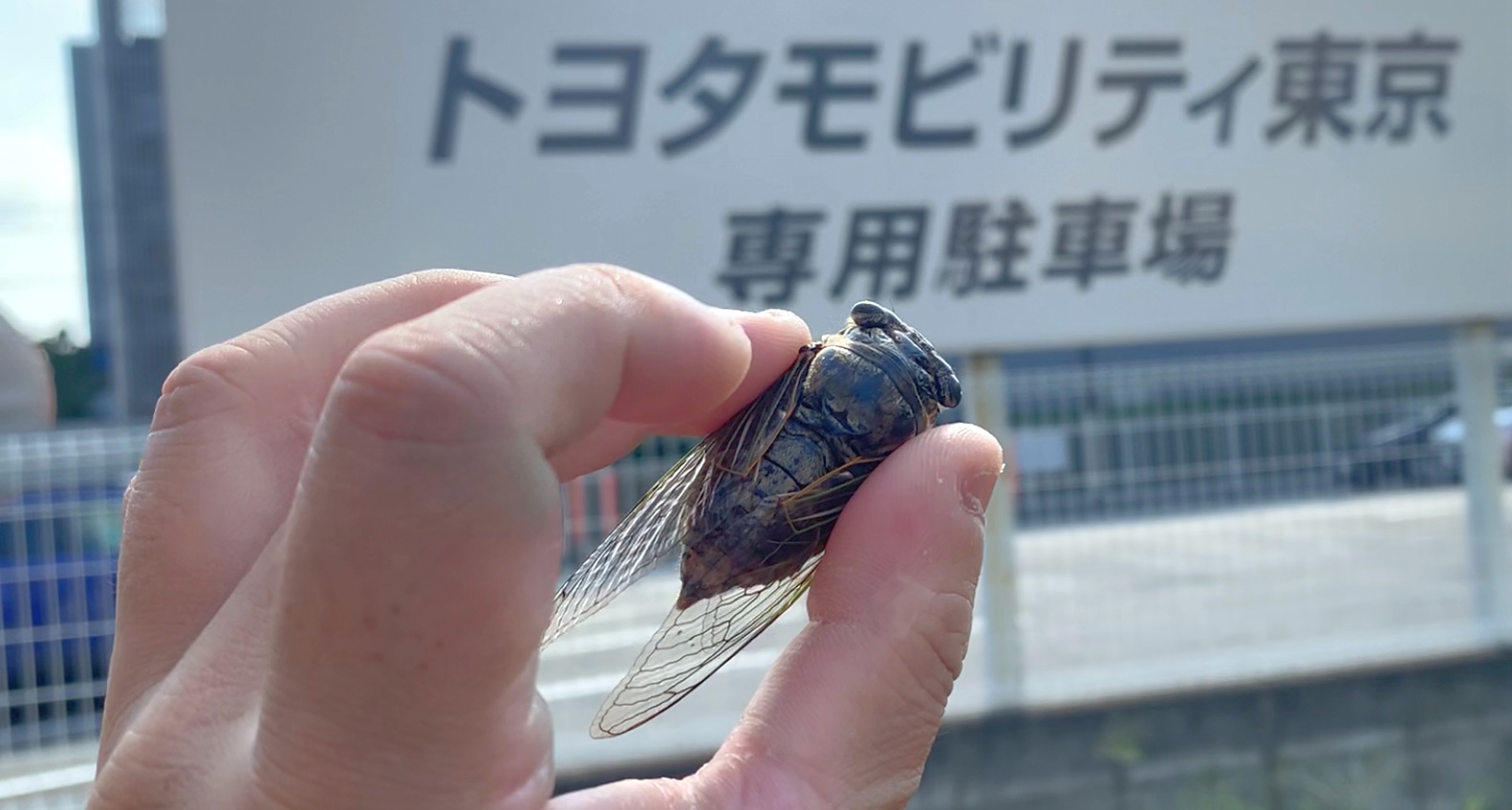 クリックで拡大（撮影：中野龍三）。