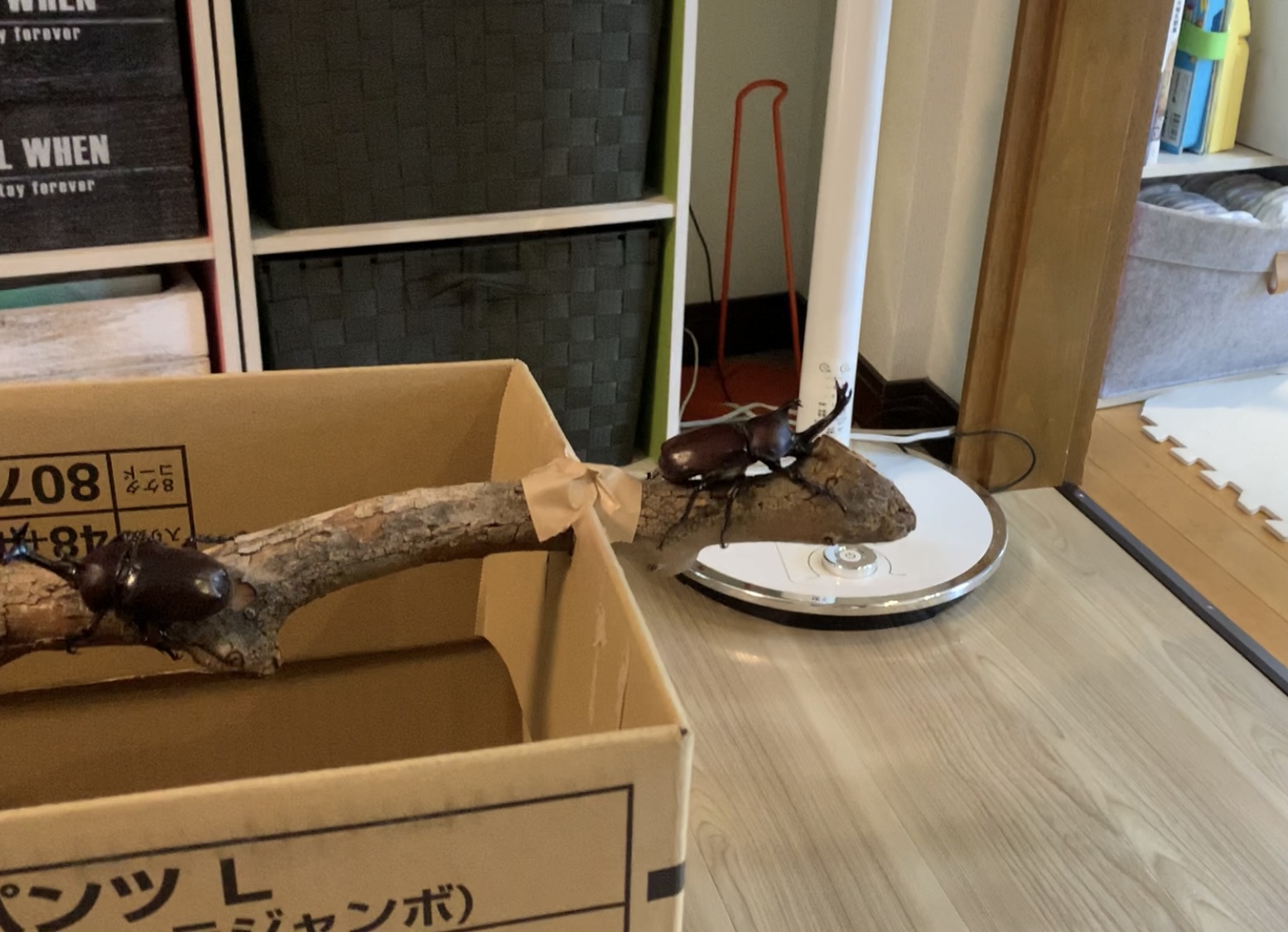 クリックで拡大(撮影:中野龍三)。