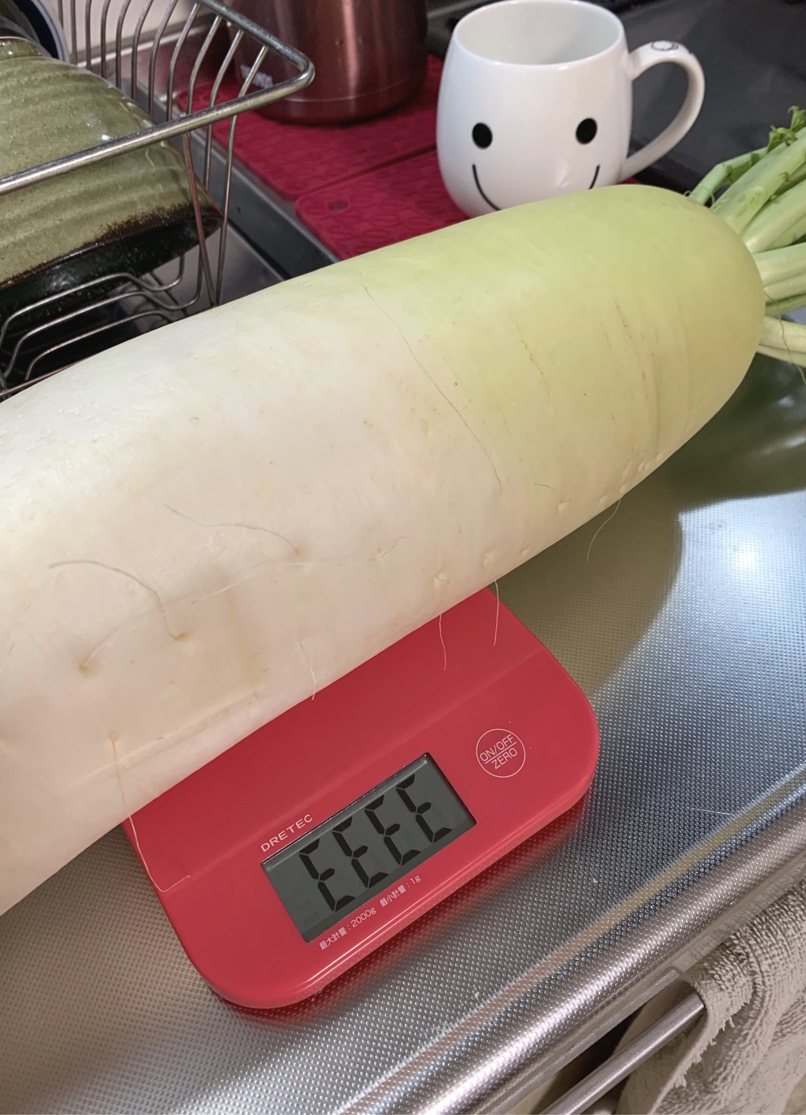 クリックで拡大(撮影:中野龍三)。