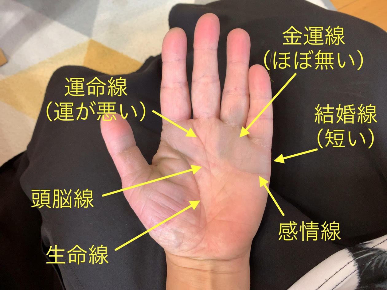 クリックで拡大(撮影:中野龍三)。