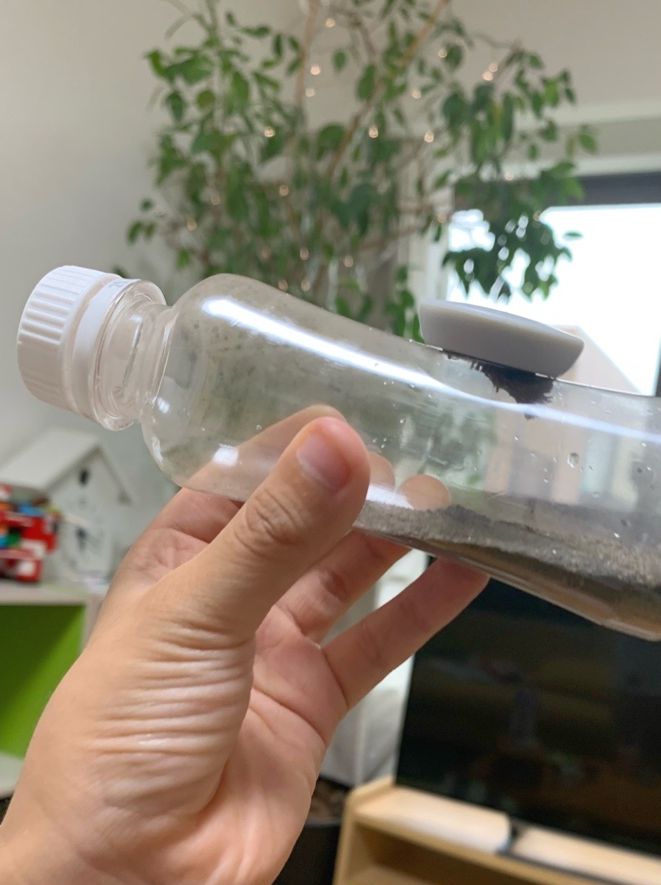 クリックで拡大(撮影:中野龍三)。