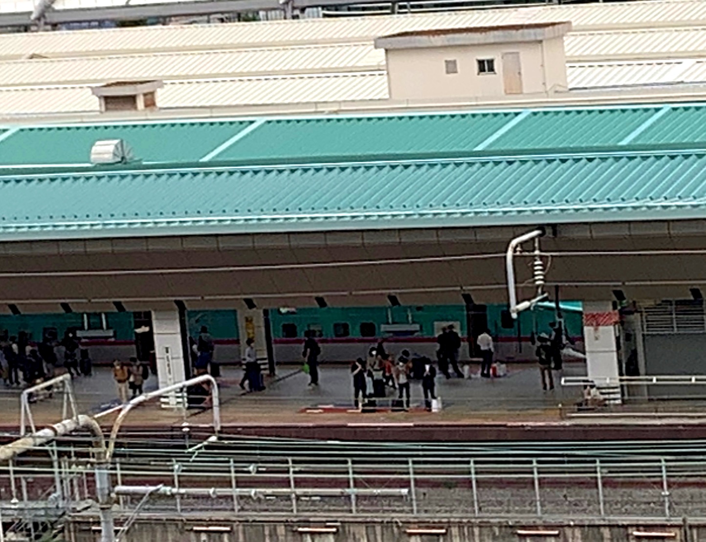 クリックで拡大(撮影:中野龍三)。