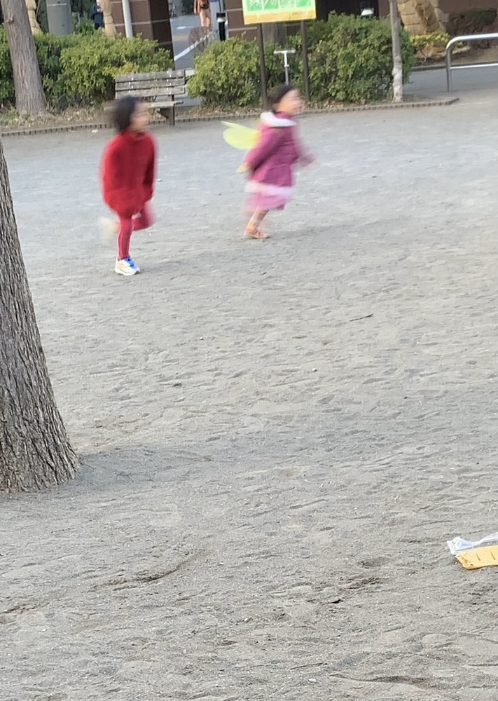 クリックで拡大(撮影:中野龍三)。