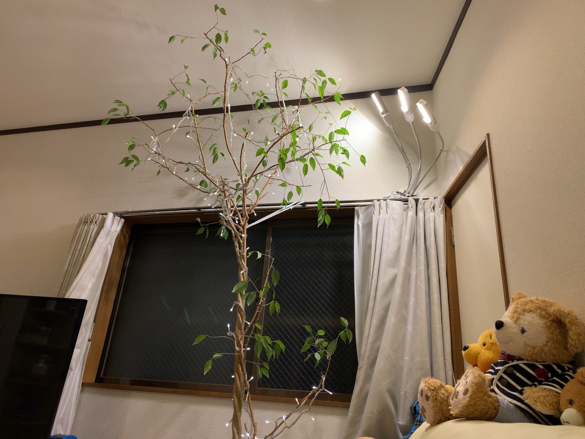 クリックで拡大(撮影:中野龍三)。