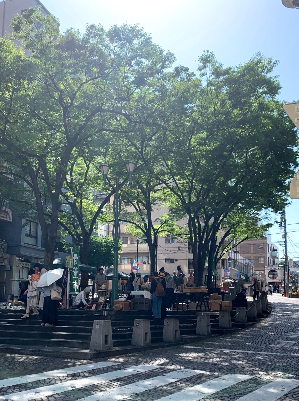 クリックで拡大(撮影:中野龍三)。