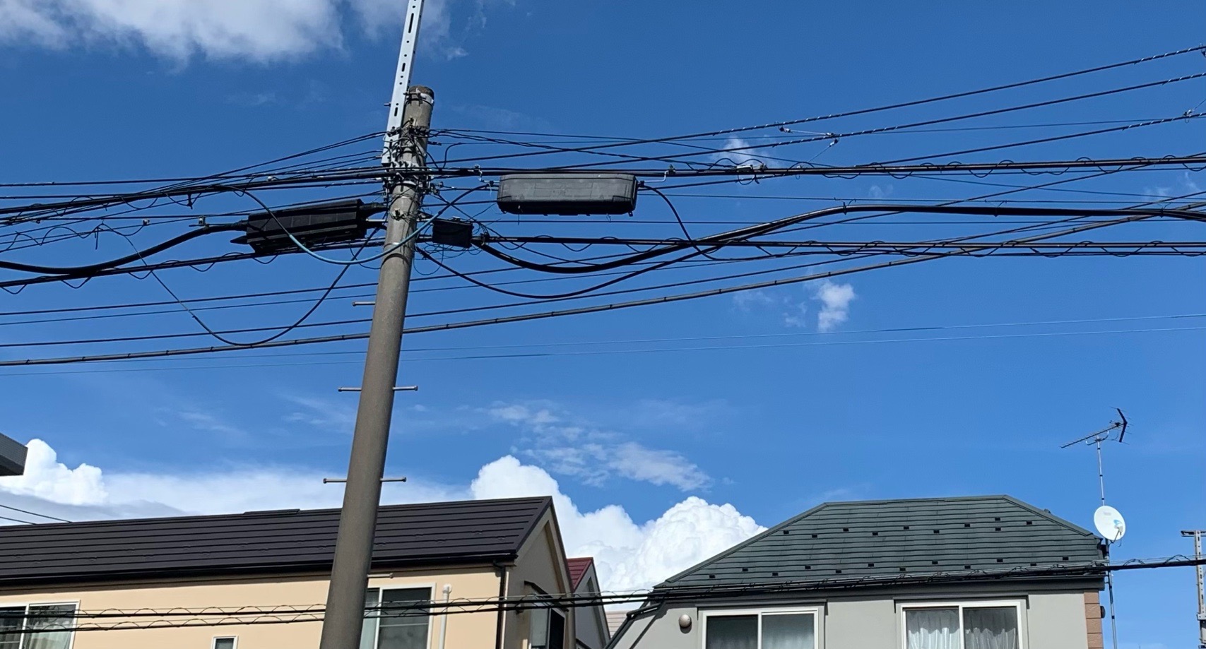 クリックで拡大(撮影:中野龍三)。