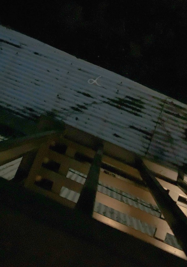 クリックで拡大(撮影:中野龍三)。