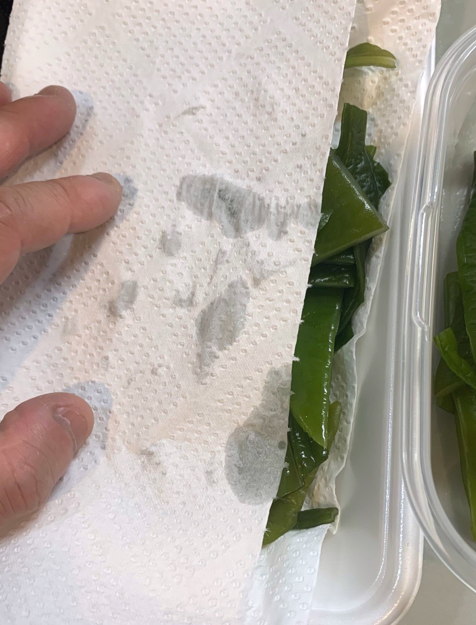 クリックで拡大(撮影:中野龍三)。