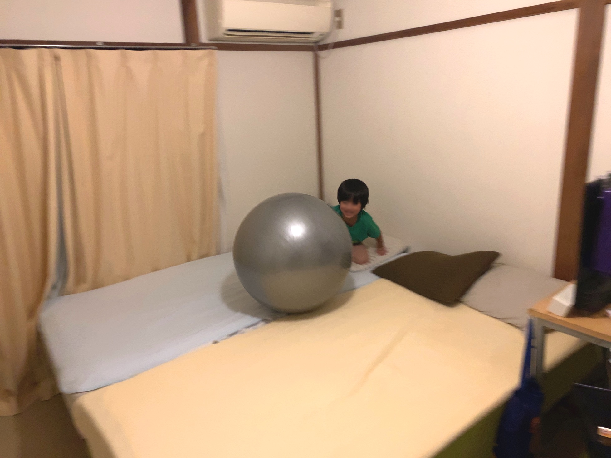 クリックで拡大(撮影:中野龍三)。