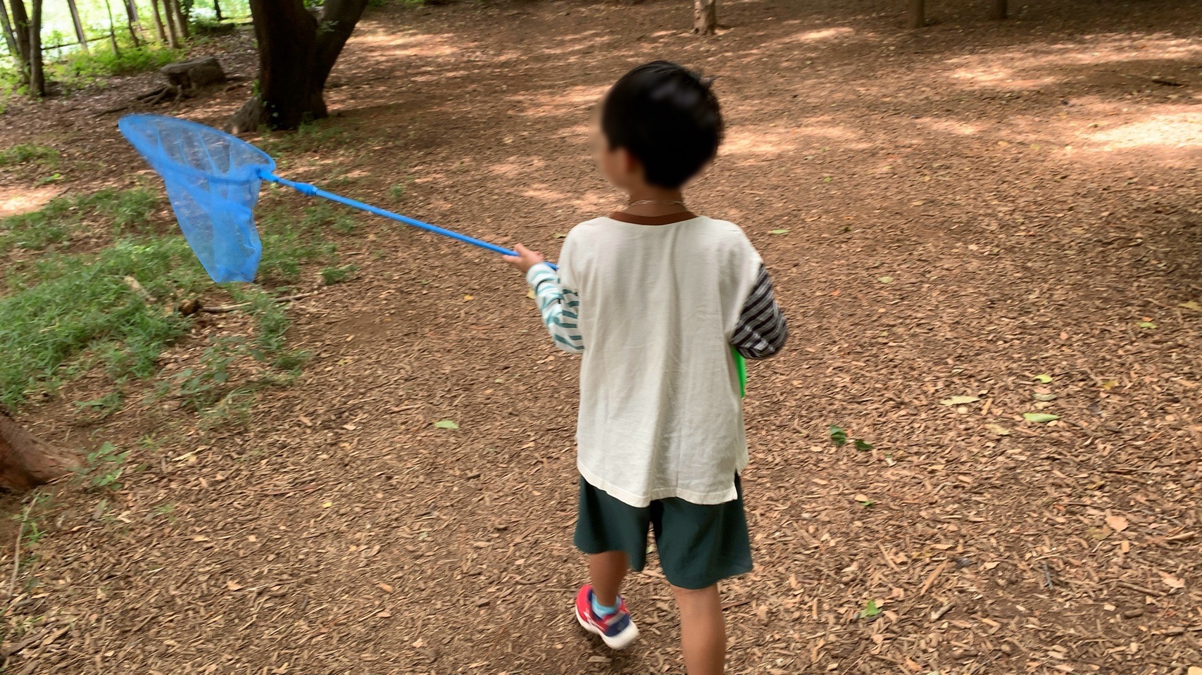 クリックで拡大(撮影:中野龍三)。