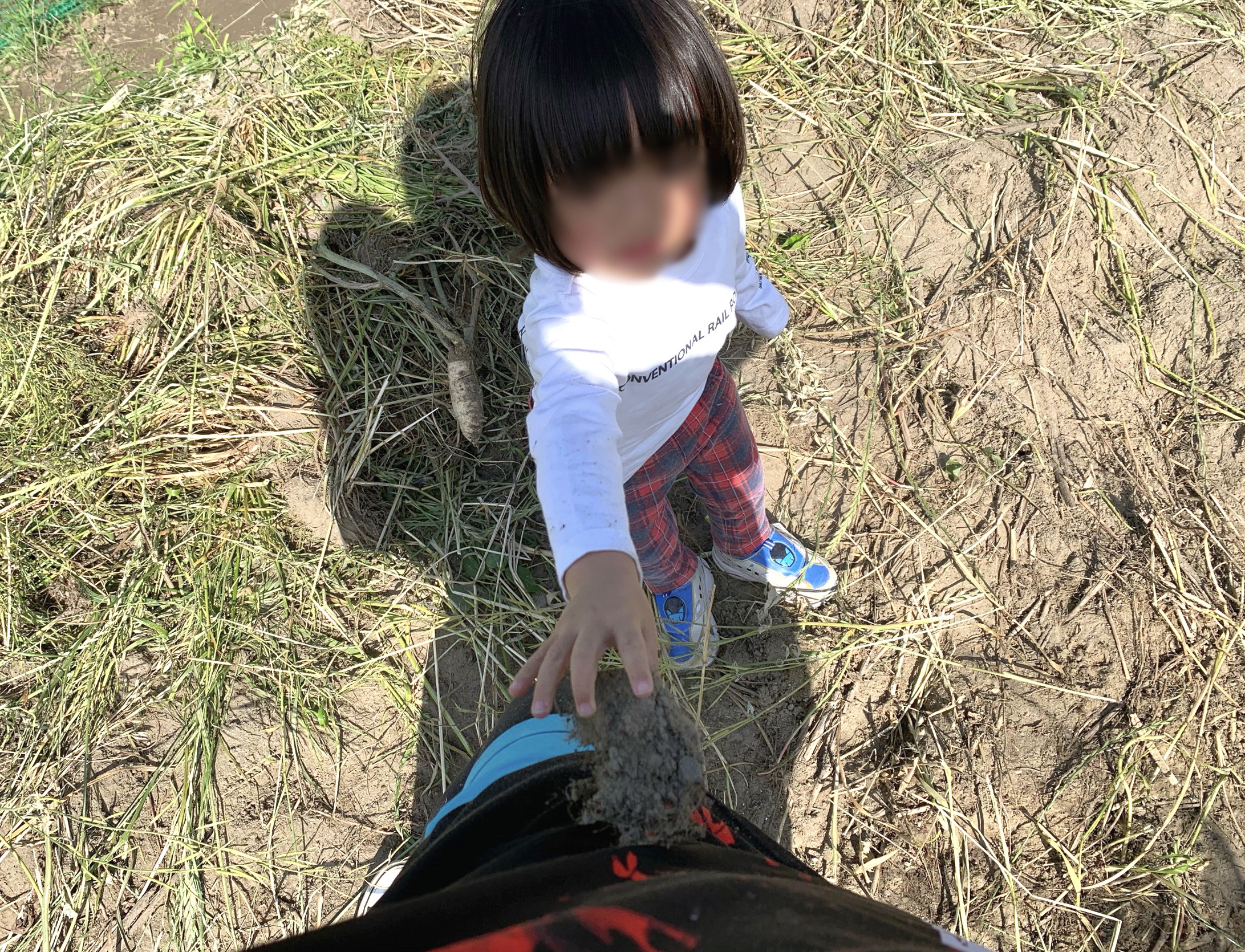 クリックで拡大(撮影:中野龍三)。