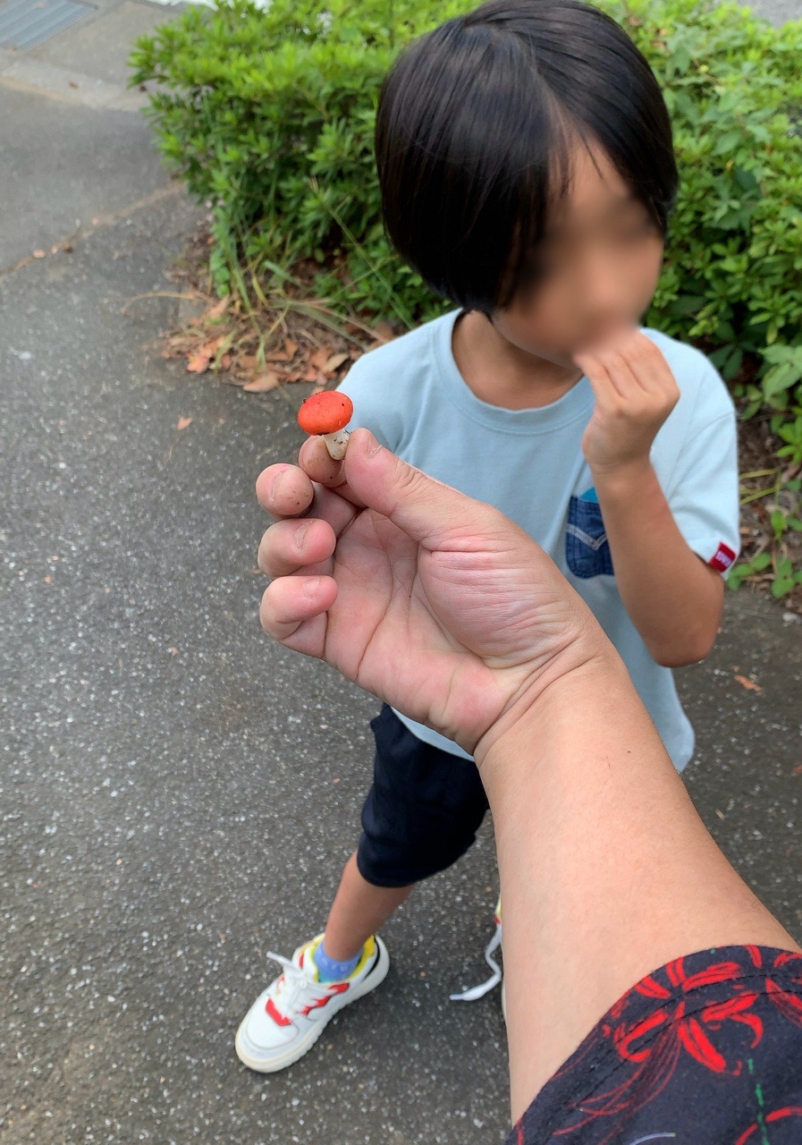 クリックで拡大(撮影:中野龍三)。