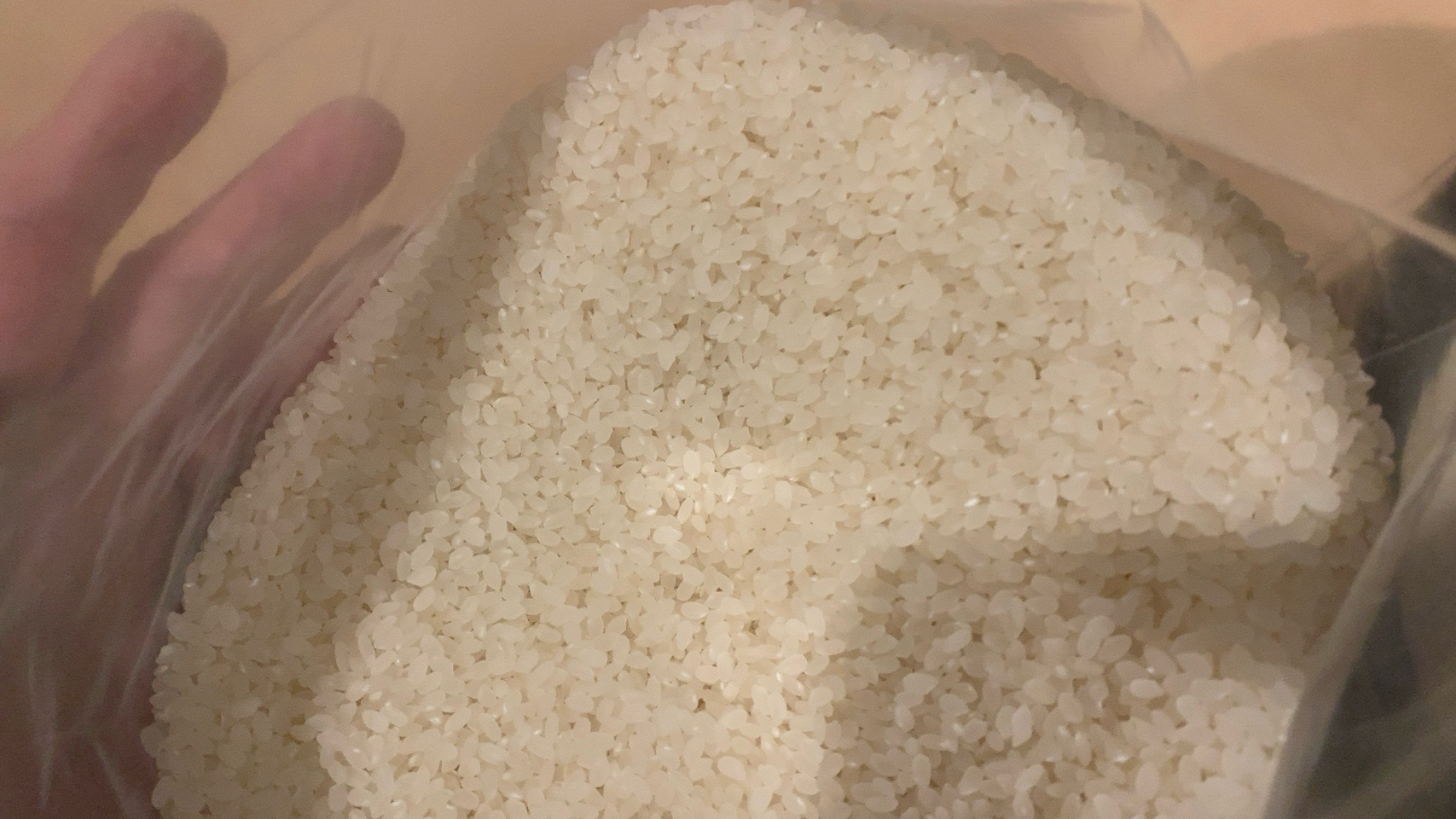 クリックで拡大(撮影:中野龍三)。