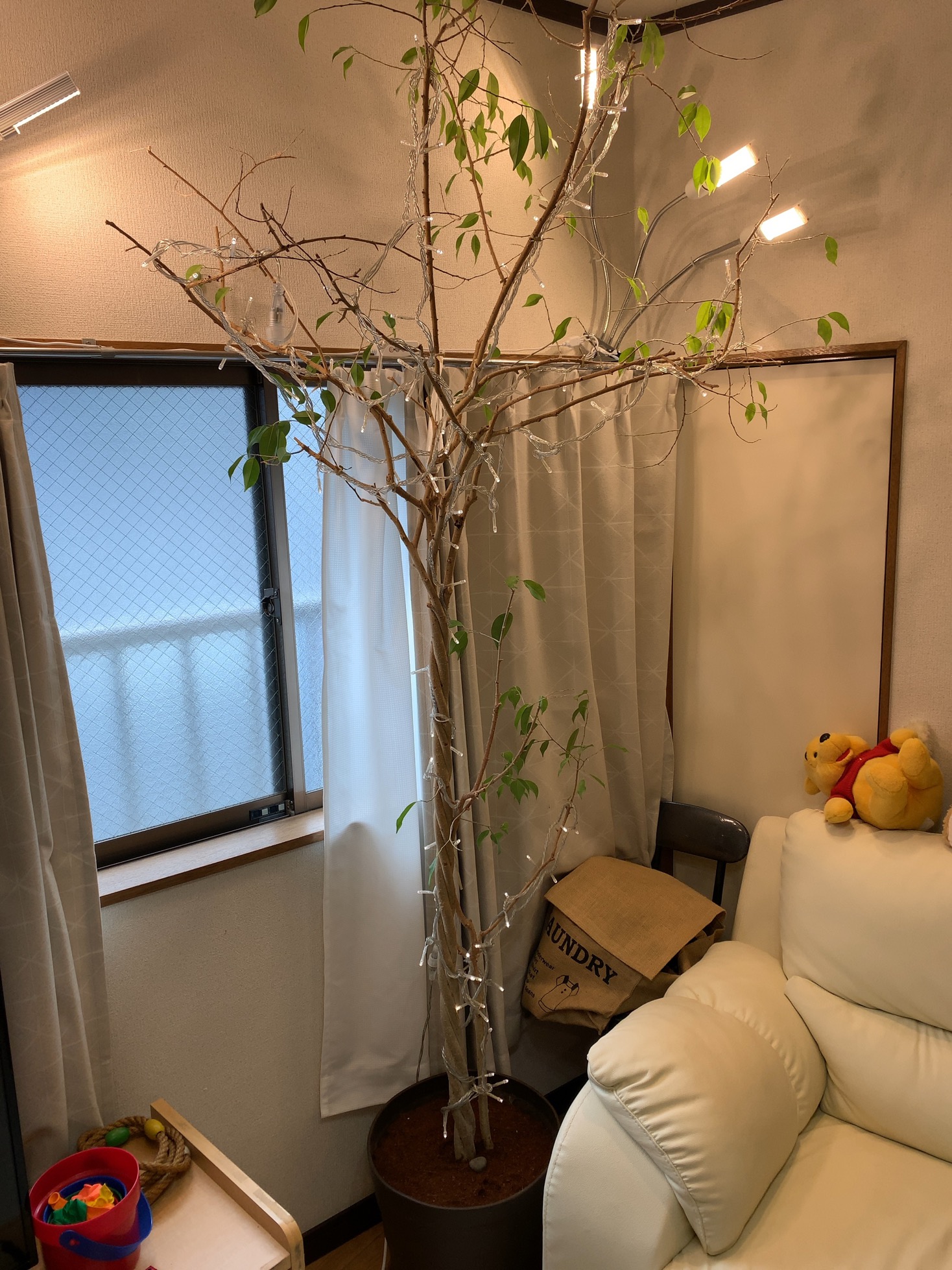クリックで拡大(撮影:中野龍三)。