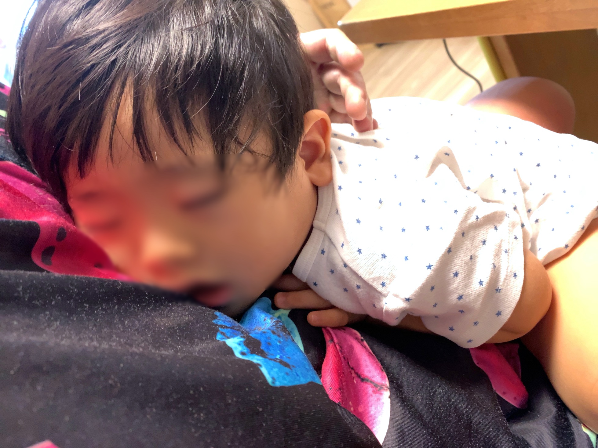 クリックで拡大(撮影:中野龍三)。