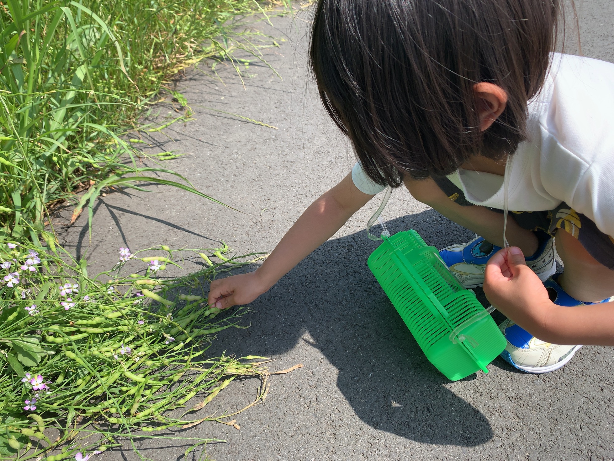 クリックで拡大(撮影:中野龍三)。