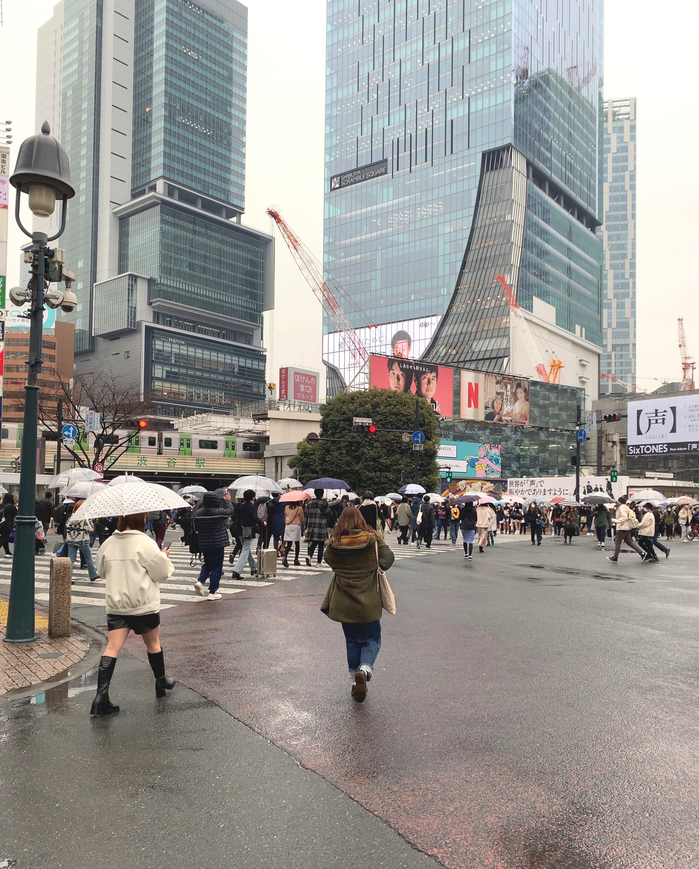 クリックで拡大(撮影:中野龍三)。