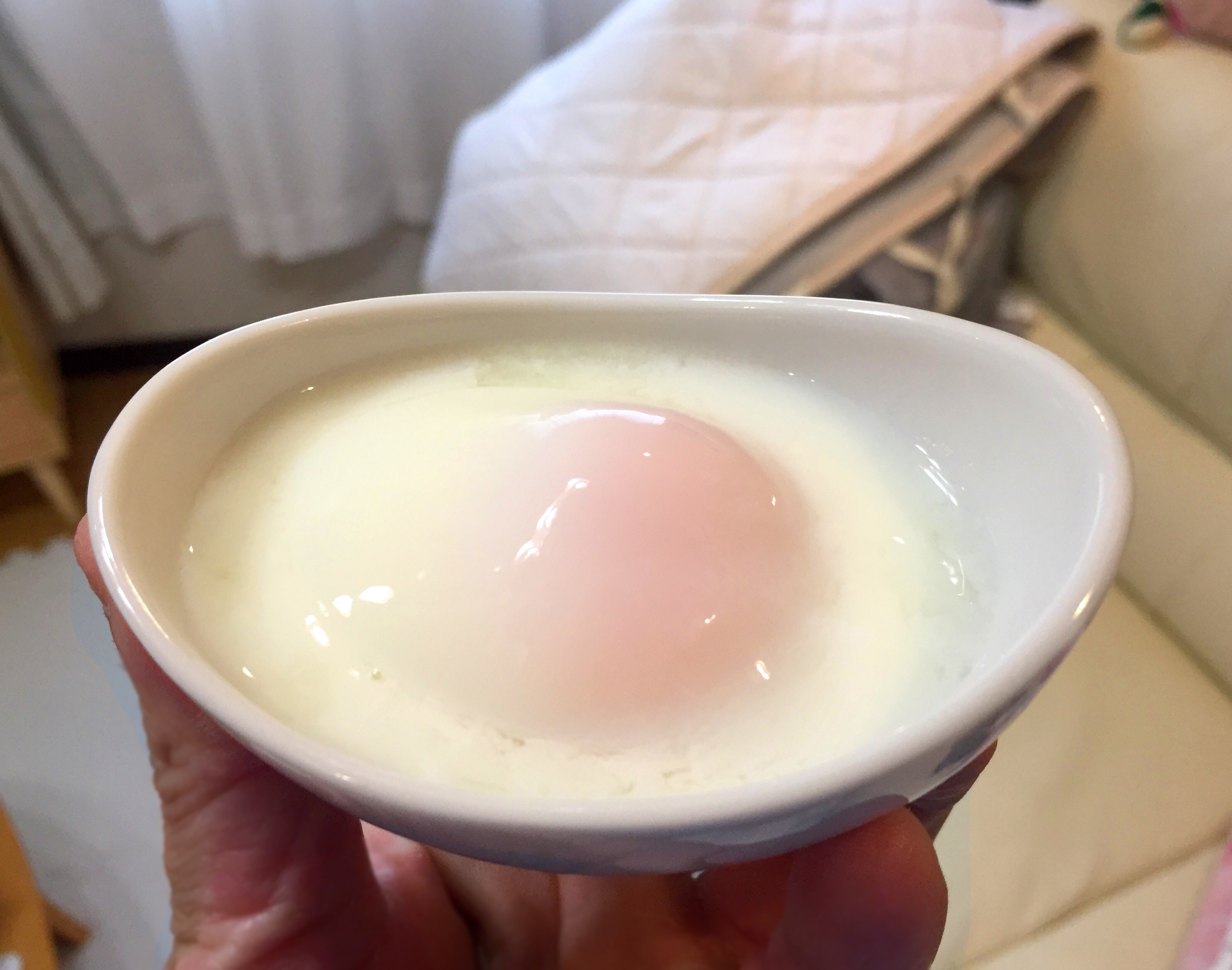 クリックで拡大(撮影:中野龍三)。