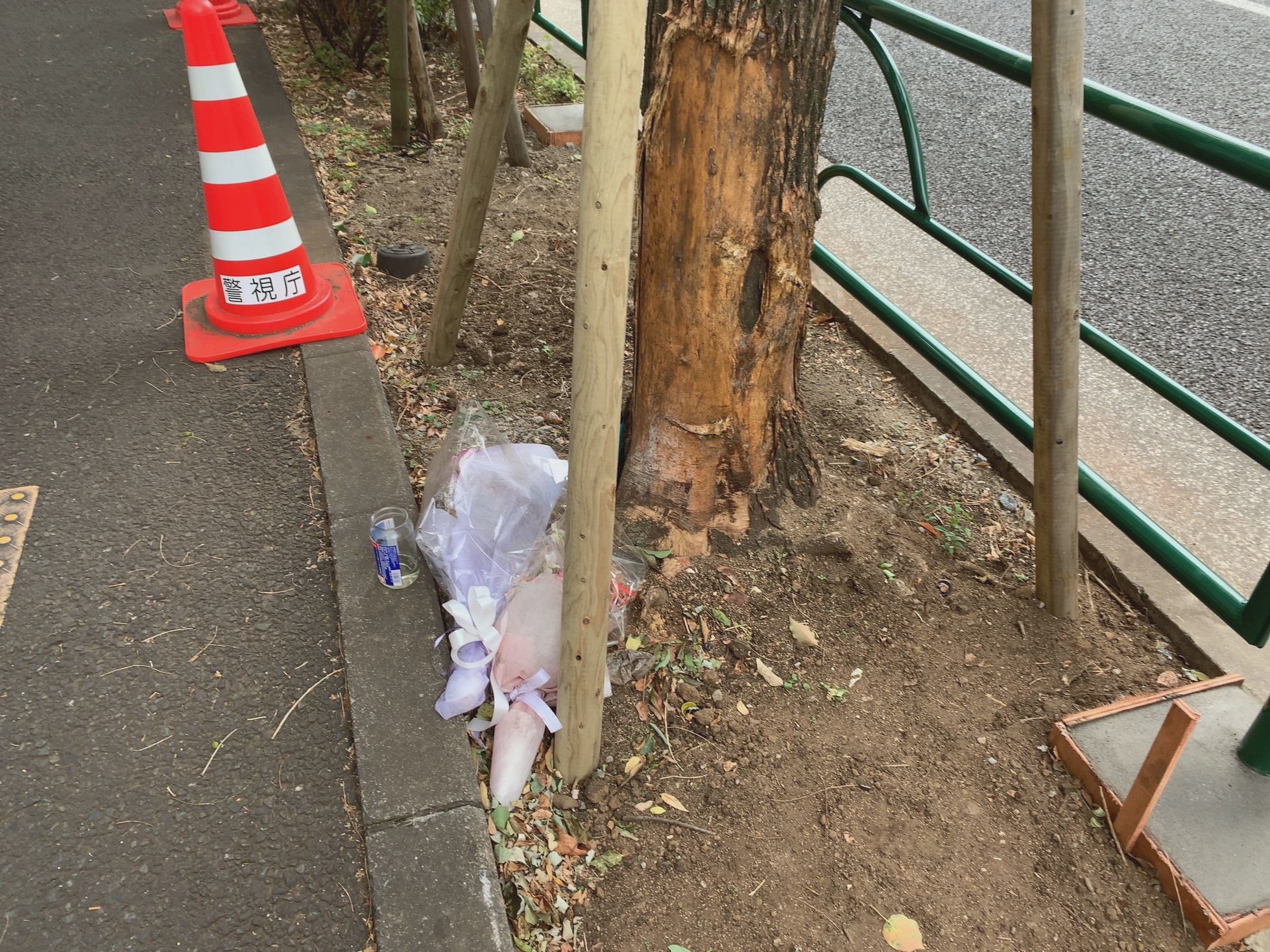 クリックで拡大(撮影:中野龍三)。