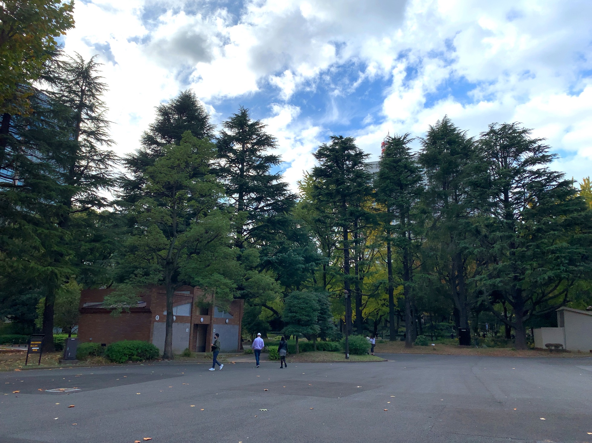 クリックで拡大(撮影:中野龍三)。