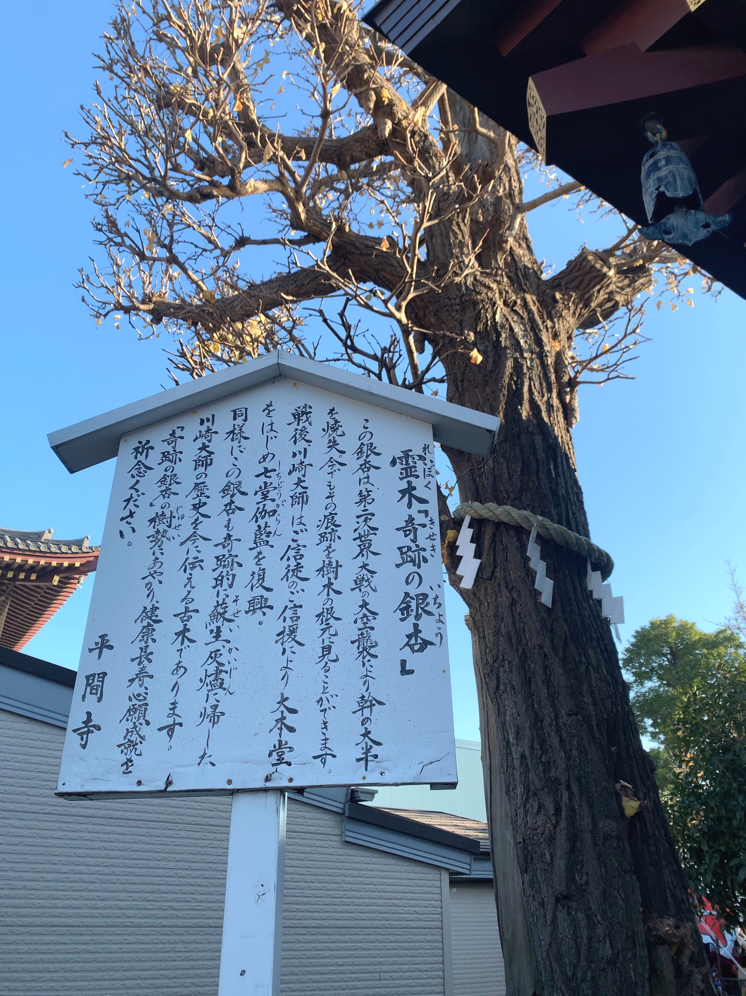クリックで拡大(撮影:中野龍三)。