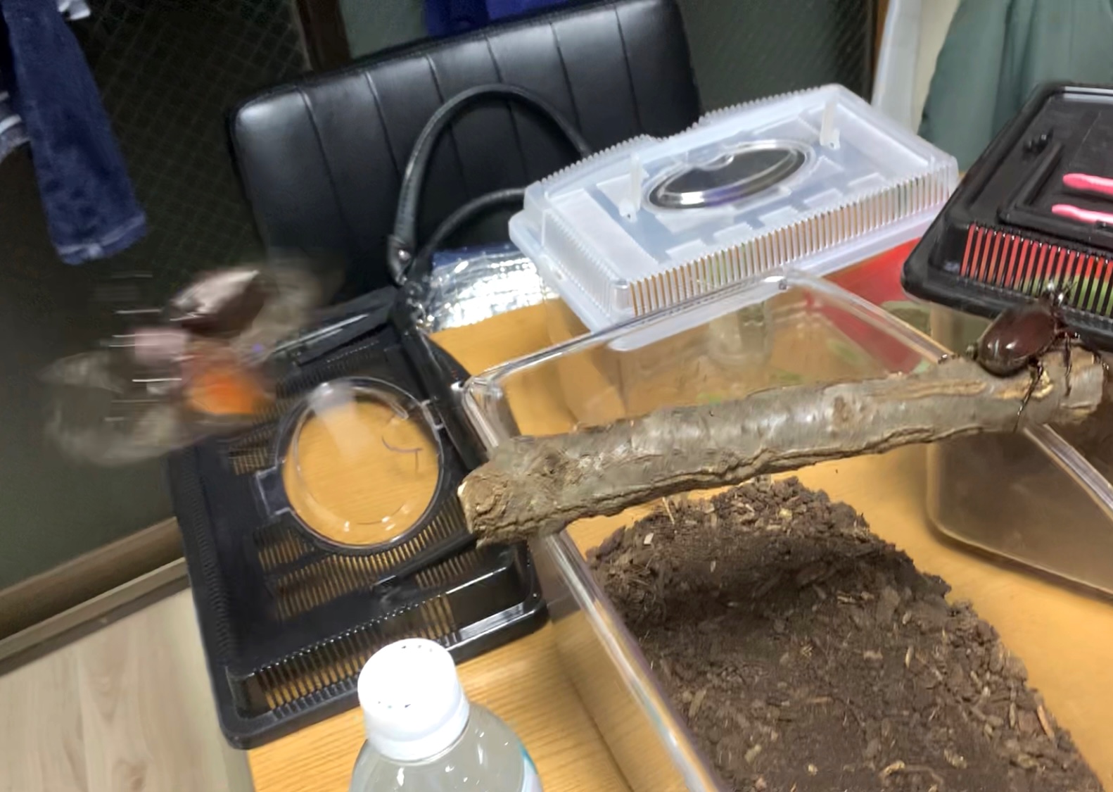 クリックで拡大(撮影:中野龍三)。