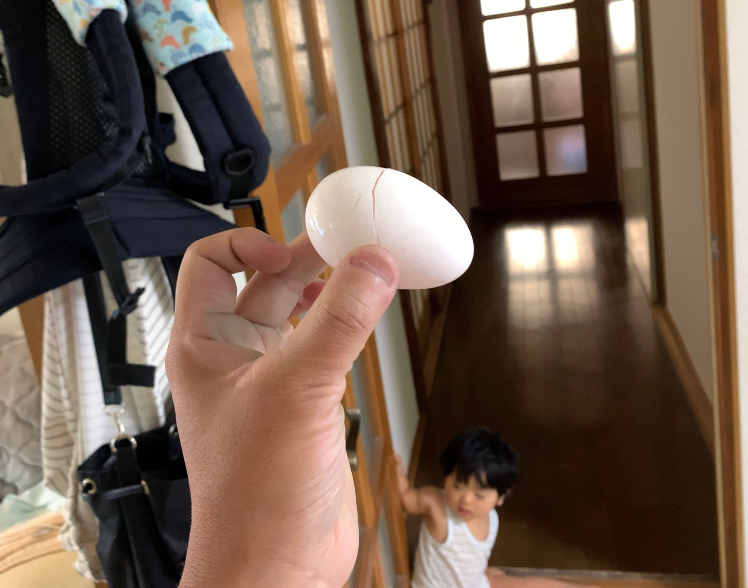 クリックで拡大(撮影:中野龍三)。