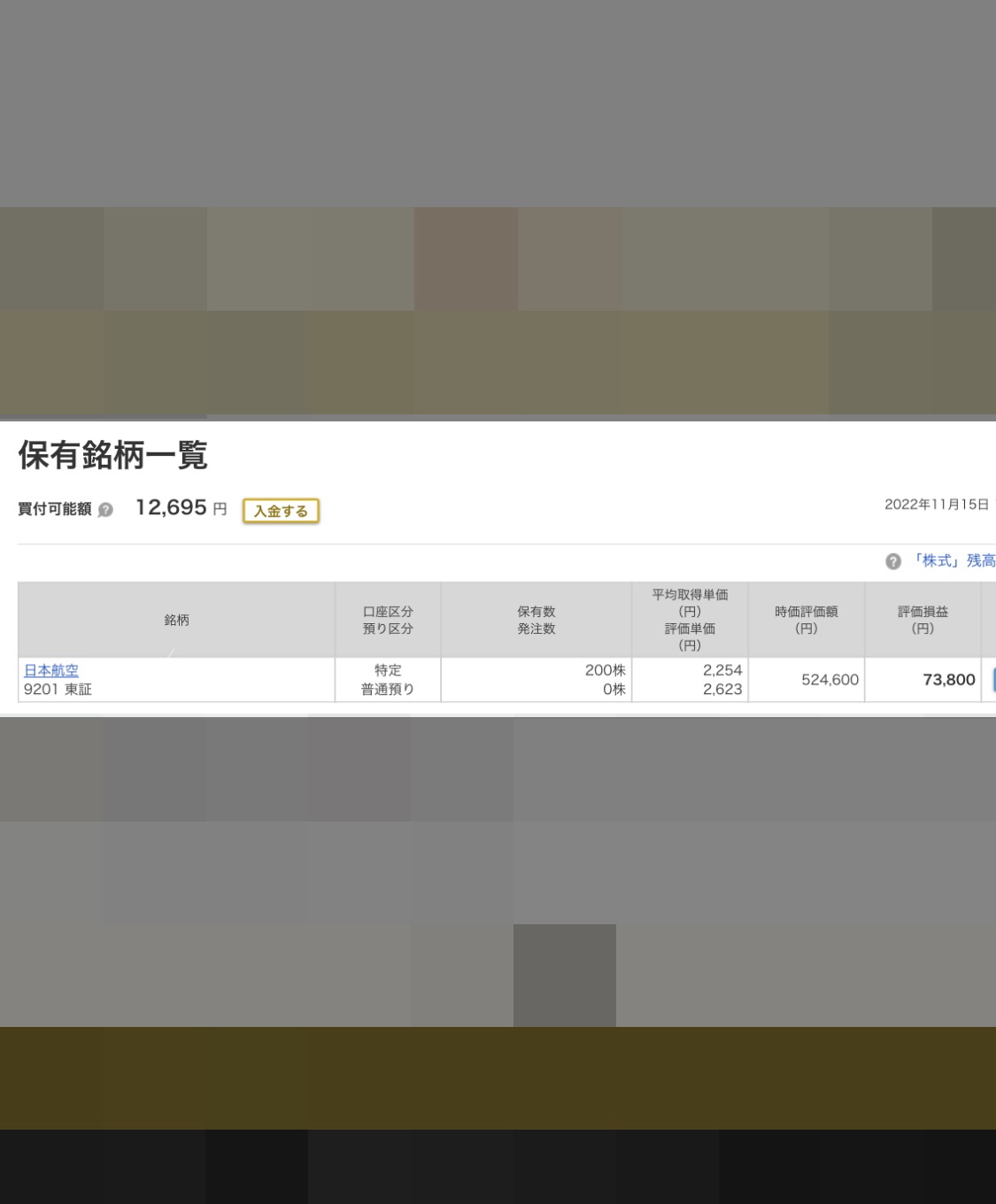 クリックで拡大(撮影:中野龍三)。