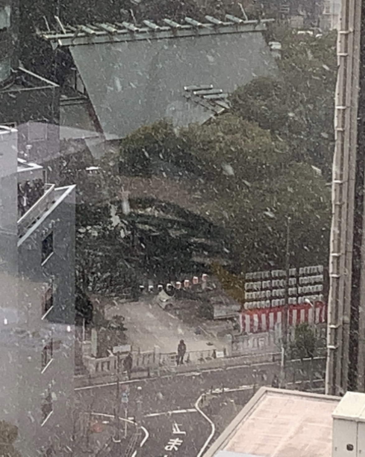クリックで拡大(撮影:中野龍三)。