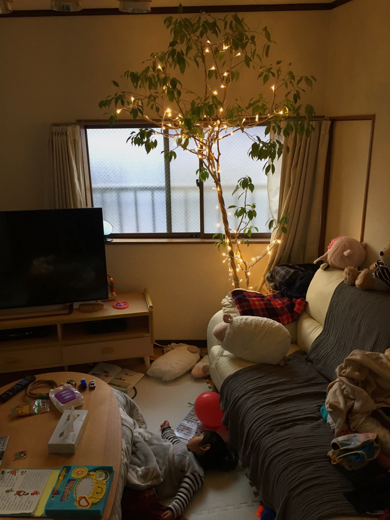 クリックで拡大(撮影:中野龍三)。