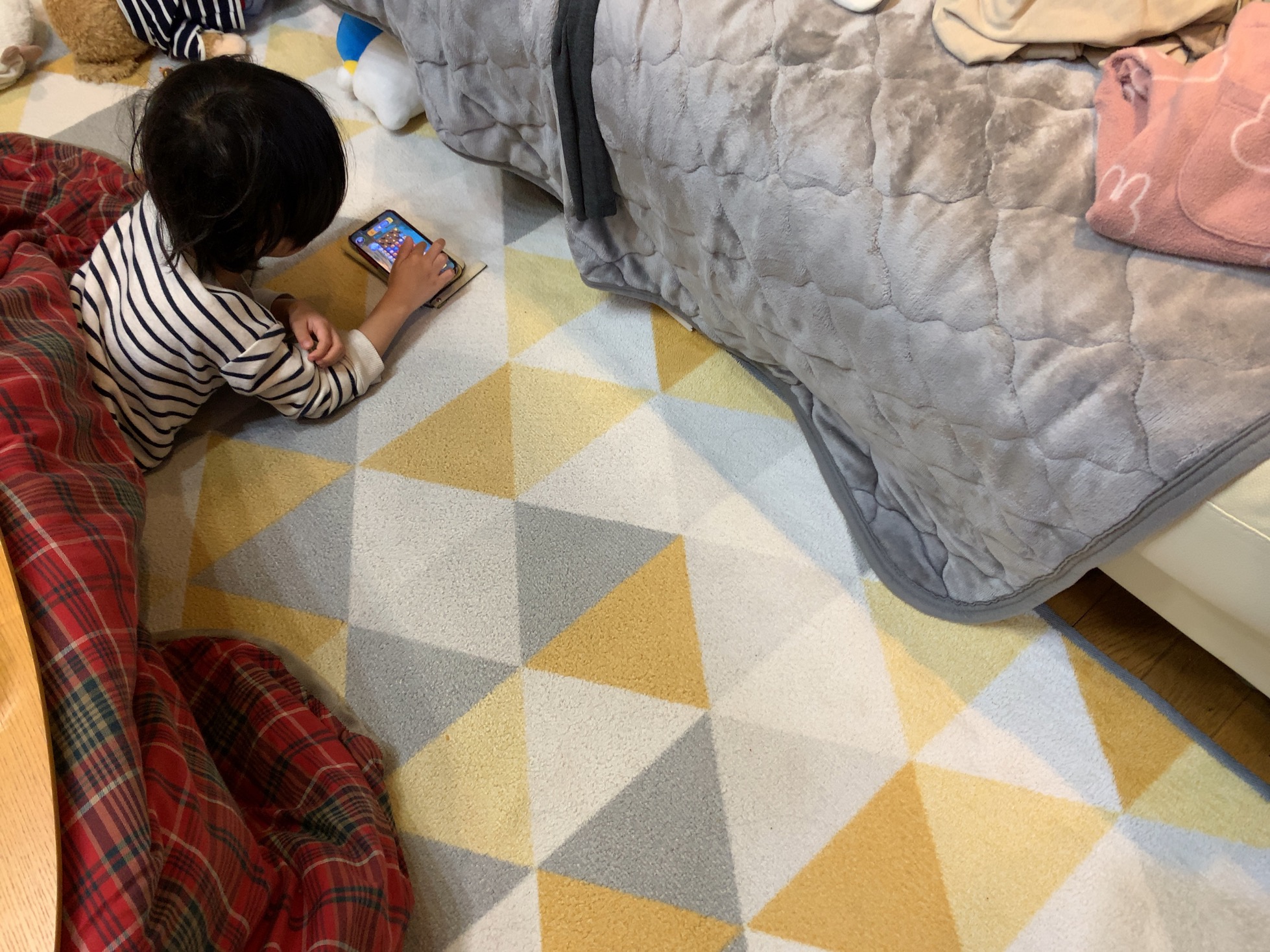 クリックで拡大(撮影:中野龍三)。