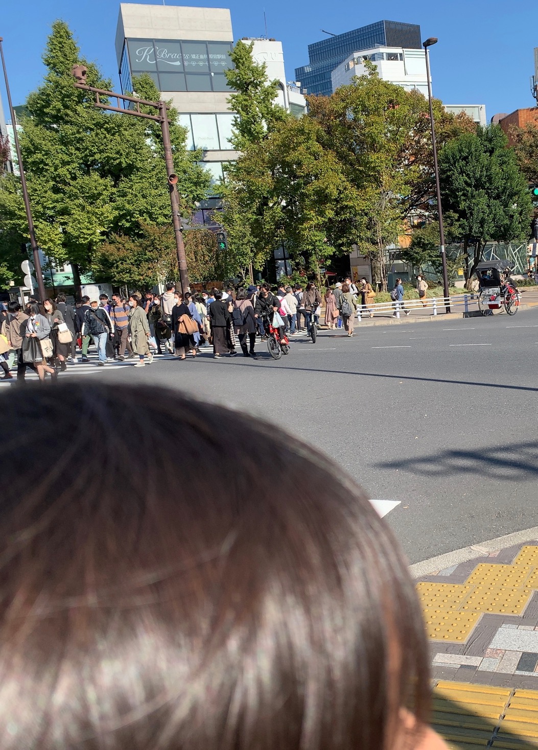 クリックで拡大(撮影:中野龍三)。