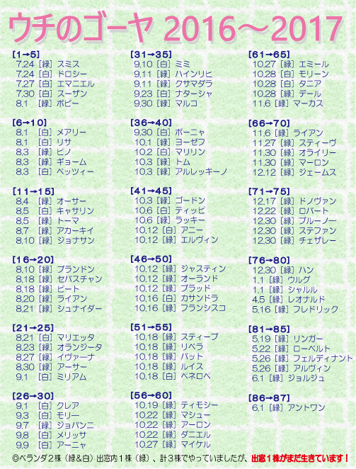 クリックで拡大。
