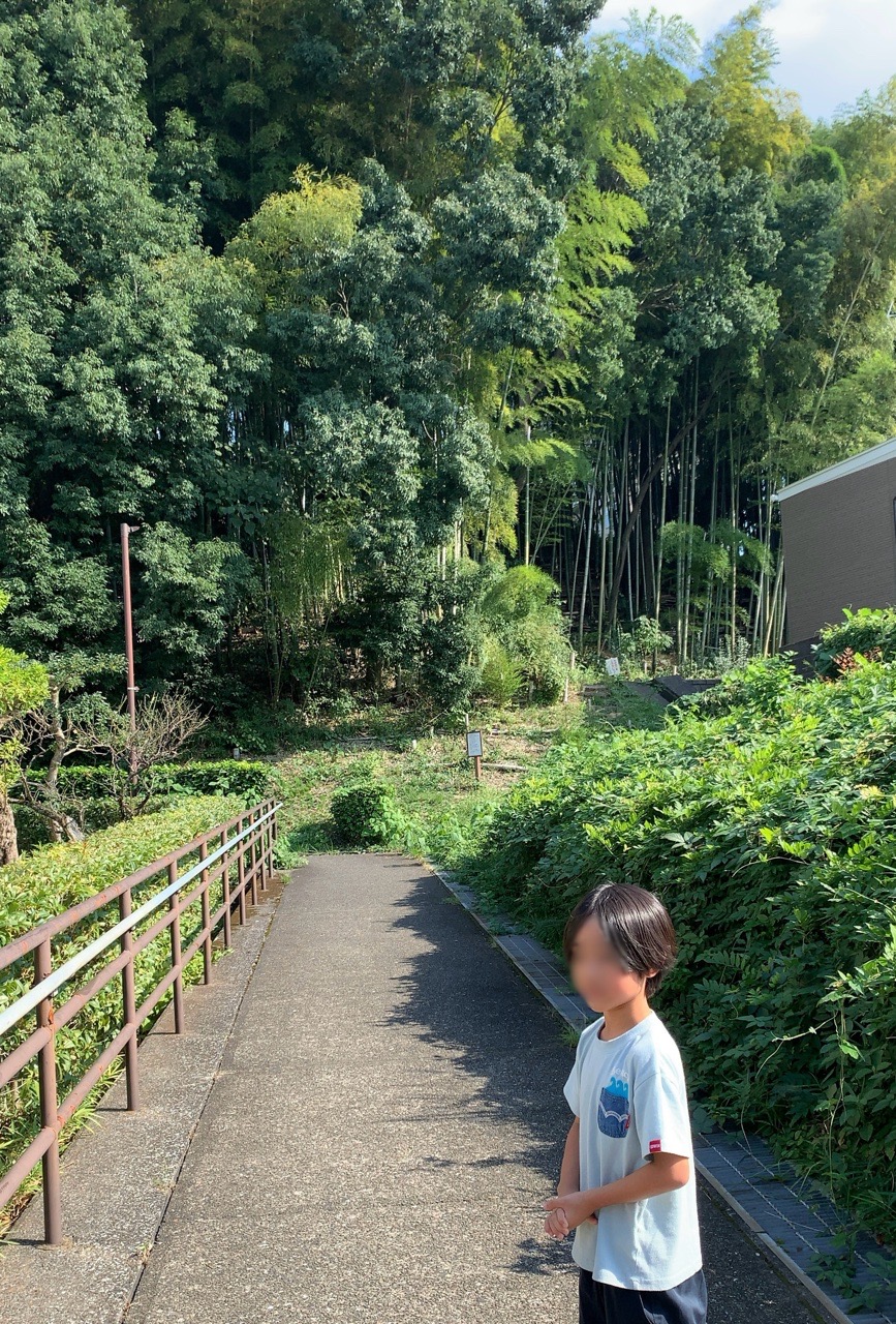 クリックで拡大(撮影:中野龍三)。