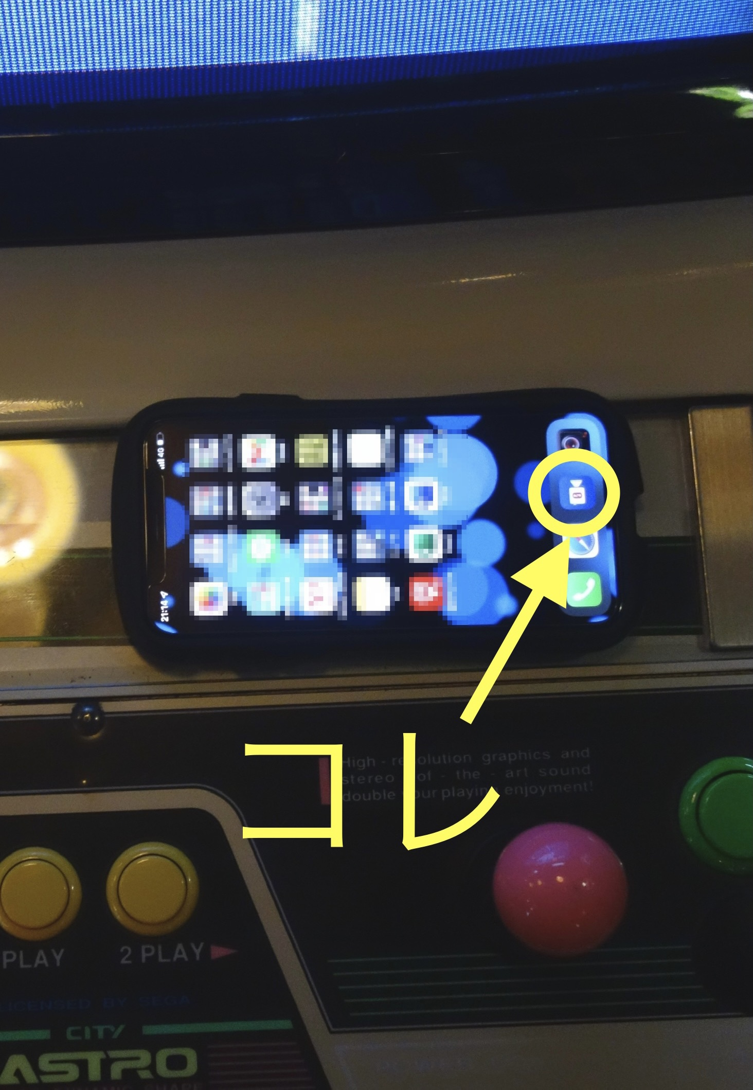 クリックで拡大(撮影:中野龍三)。
