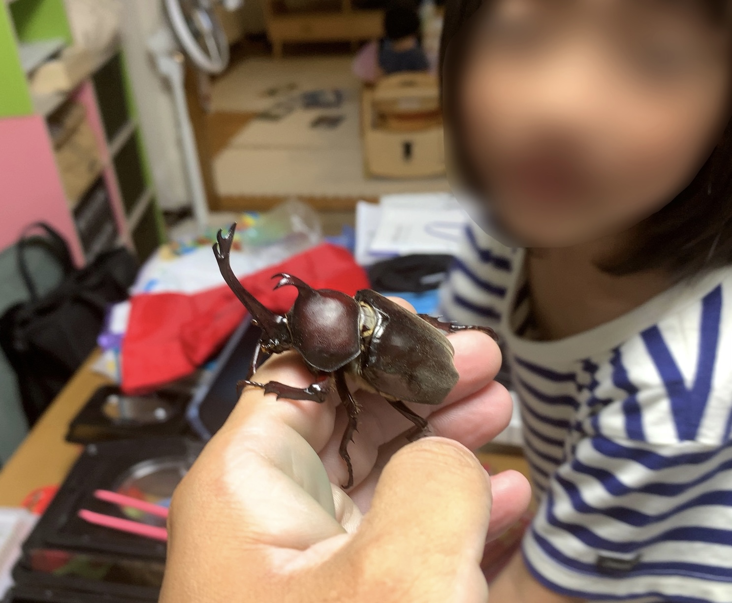 クリックで拡大(撮影:中野龍三)。