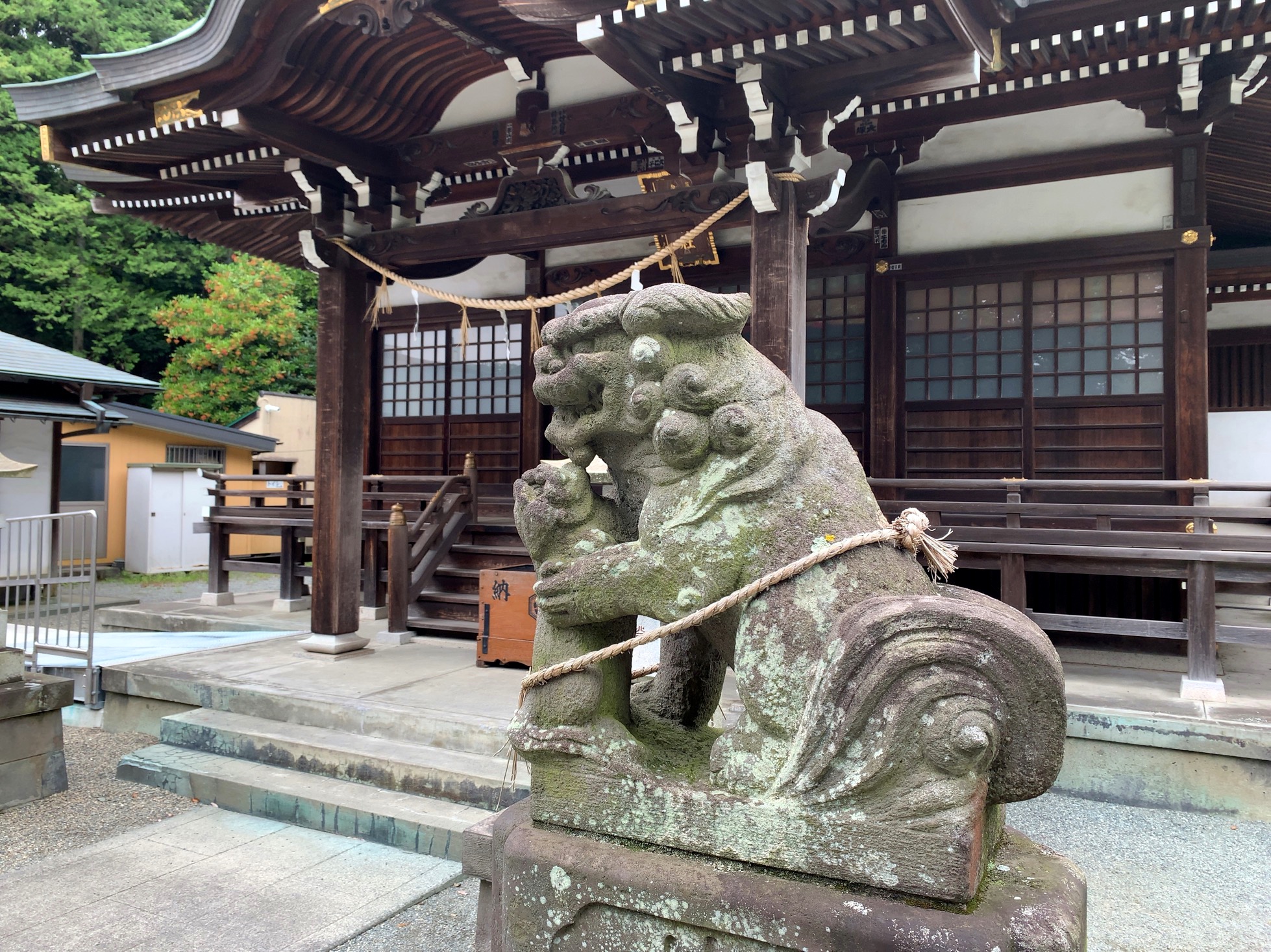 クリックで拡大(撮影:中野龍三)。