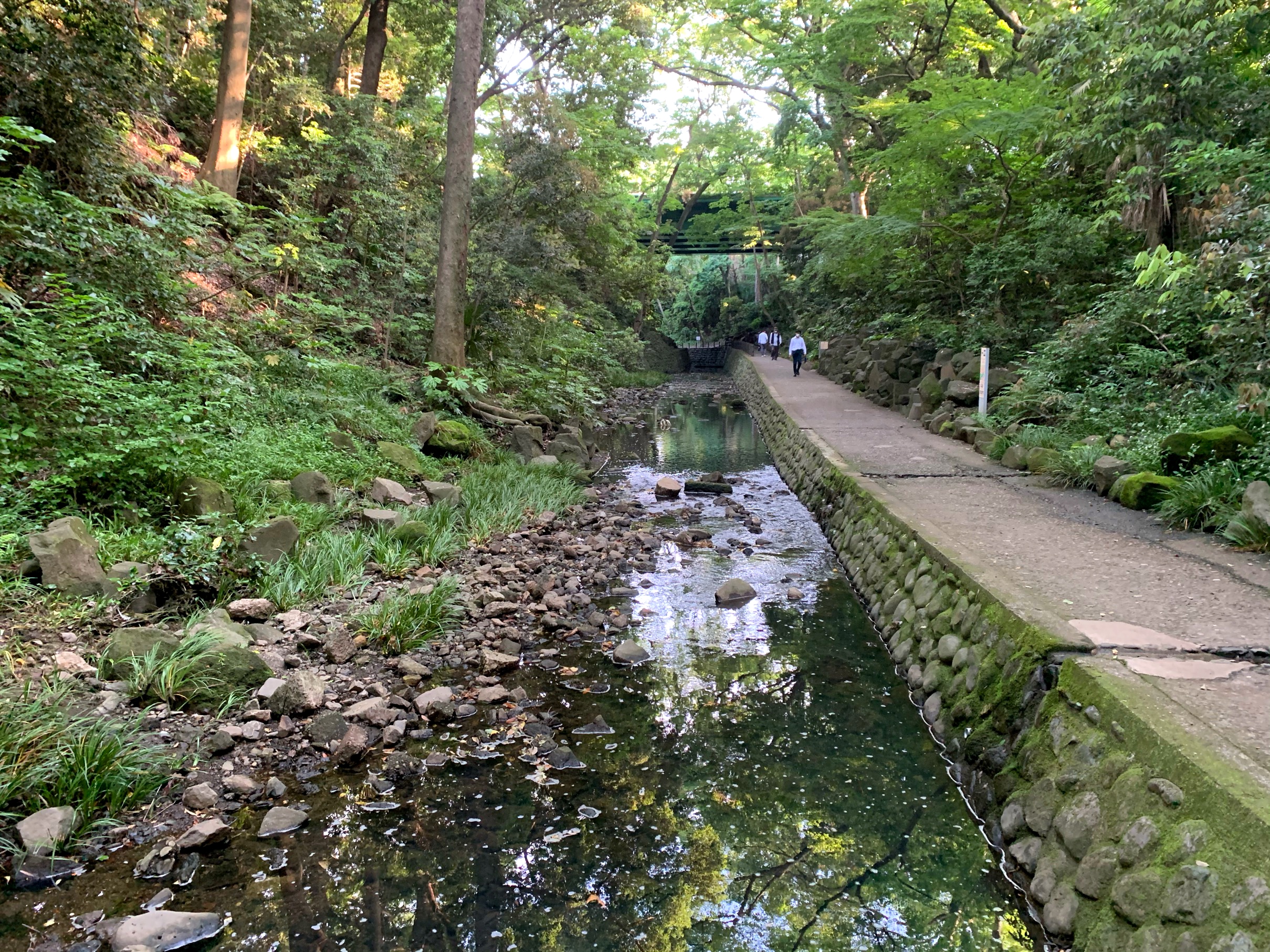 クリックで拡大(撮影:中野龍三)。