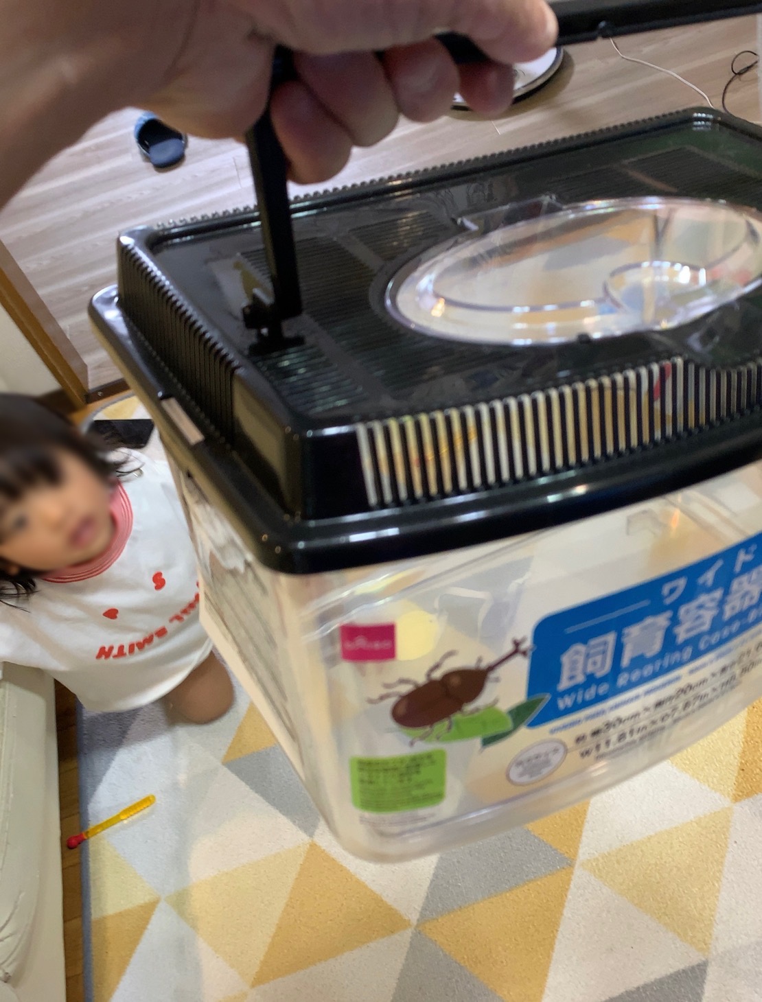 クリックで拡大(撮影:中野龍三)。