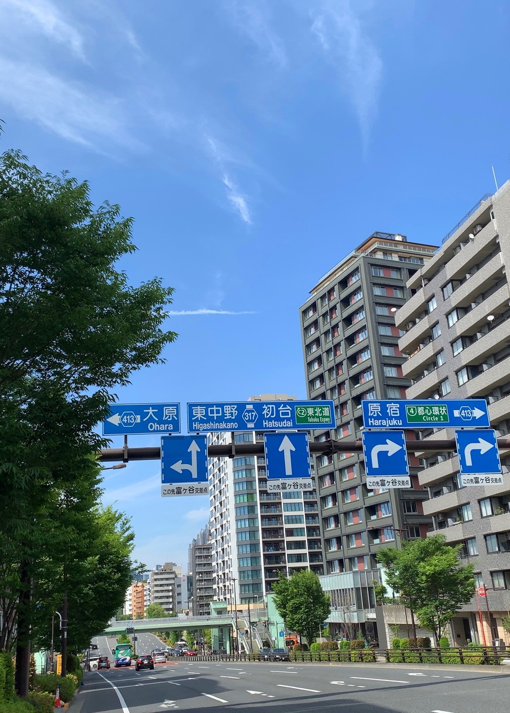 クリックで拡大(撮影:中野龍三)。