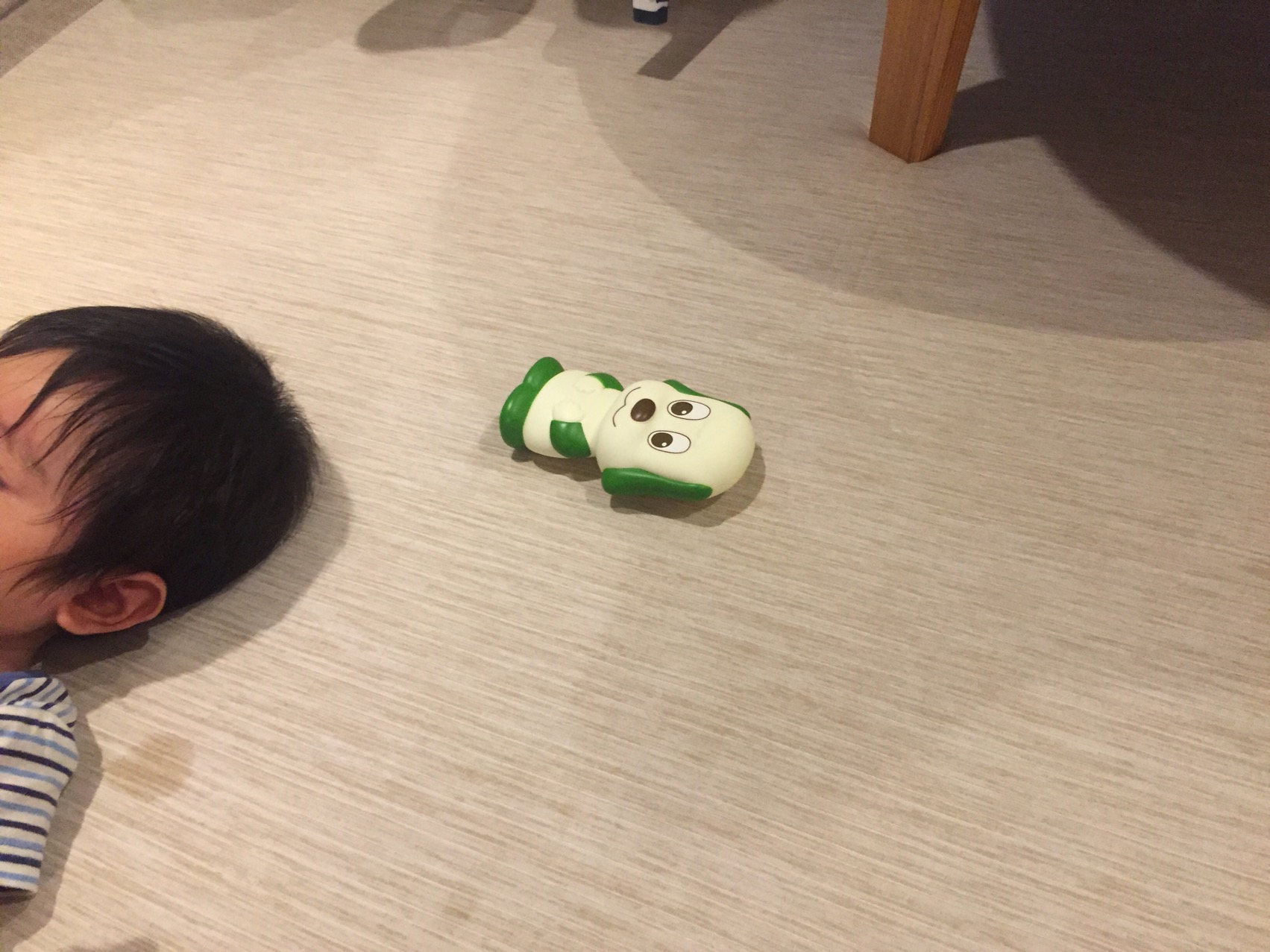 クリックで拡大(撮影:中野龍三)。
